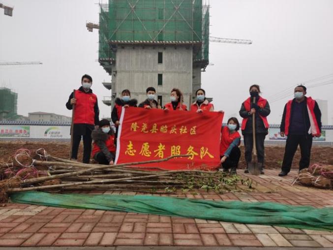 隆尧镇,东良镇,昭庆社区积极开展植树造林活动