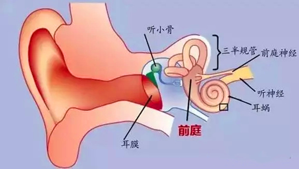 4个月宝宝睡觉总扭来扭去?和内耳前庭发育有关,5个游戏可锻炼