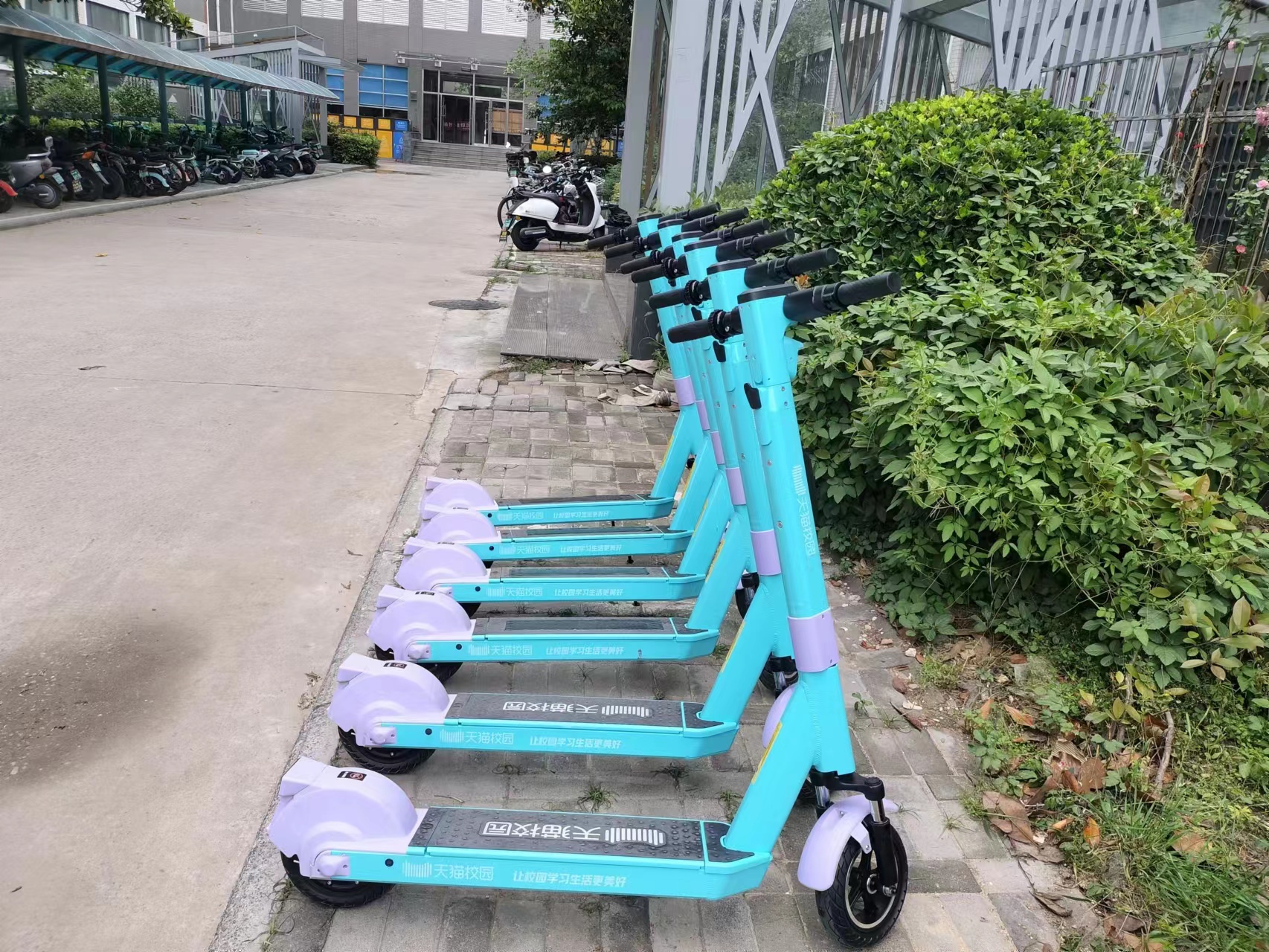 小潮出行|校园共享滑板车,你打卡了吗?