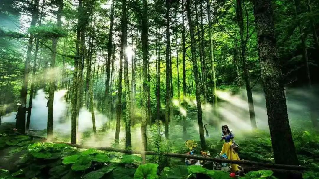 祝贺:龙峪湾森林公园 入选首批省级康养旅游示范基地