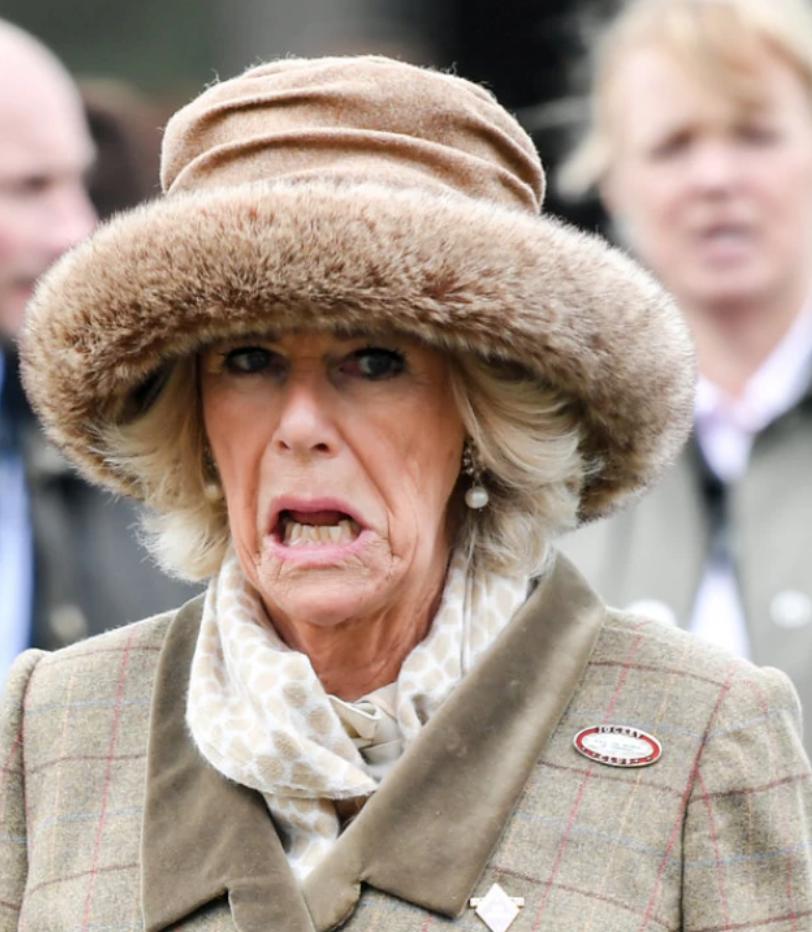 查尔斯身体抱恙,卡米拉态度冷漠,爆思念前夫安德鲁,传言想复合