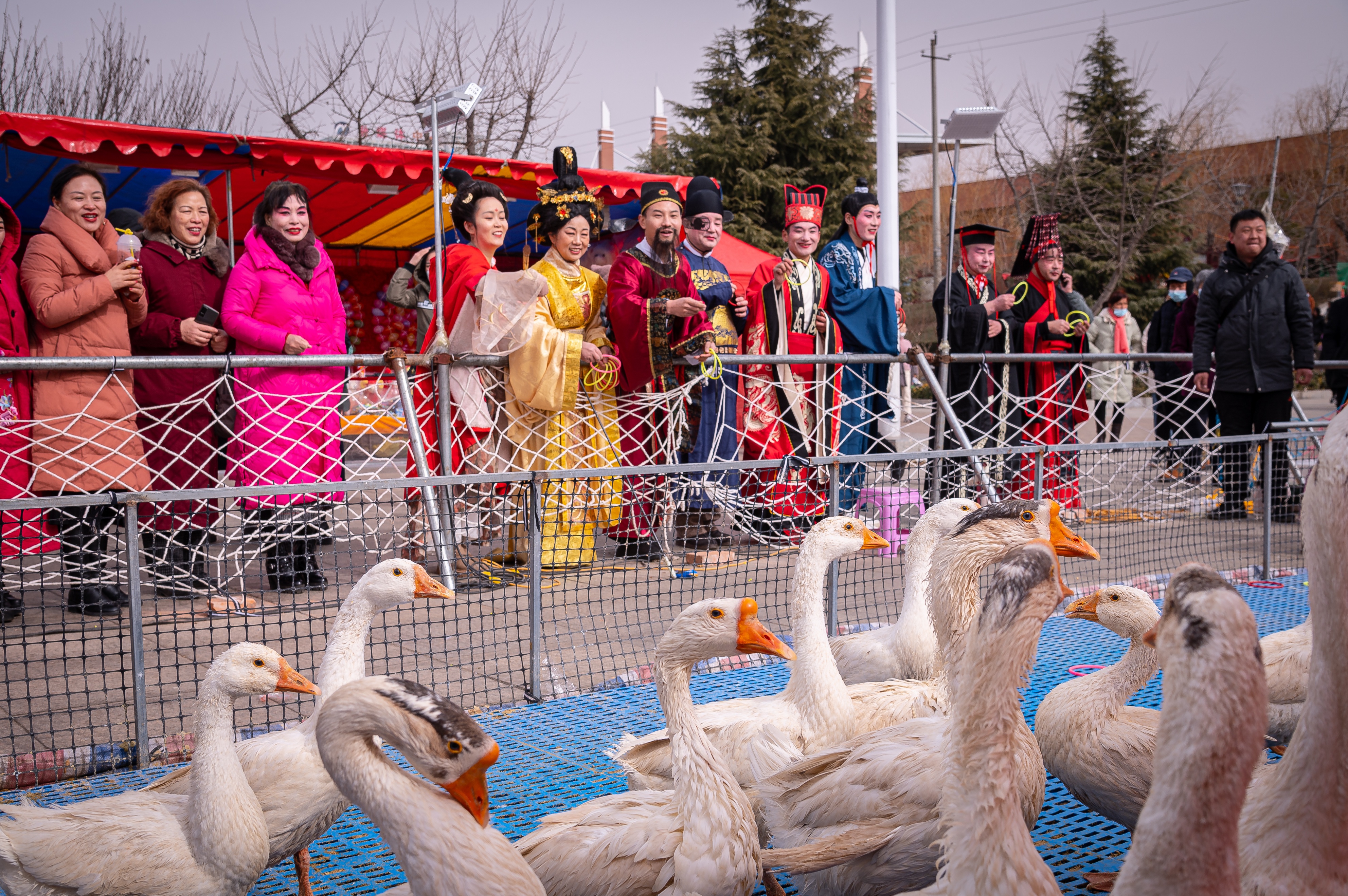 武则天,狄仁杰,刘秀,班超,9位历史名人穿越千年聚孟津