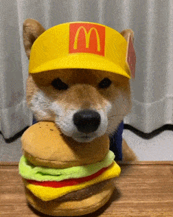 这些凶名在外的狗狗,真的不要养,很危险