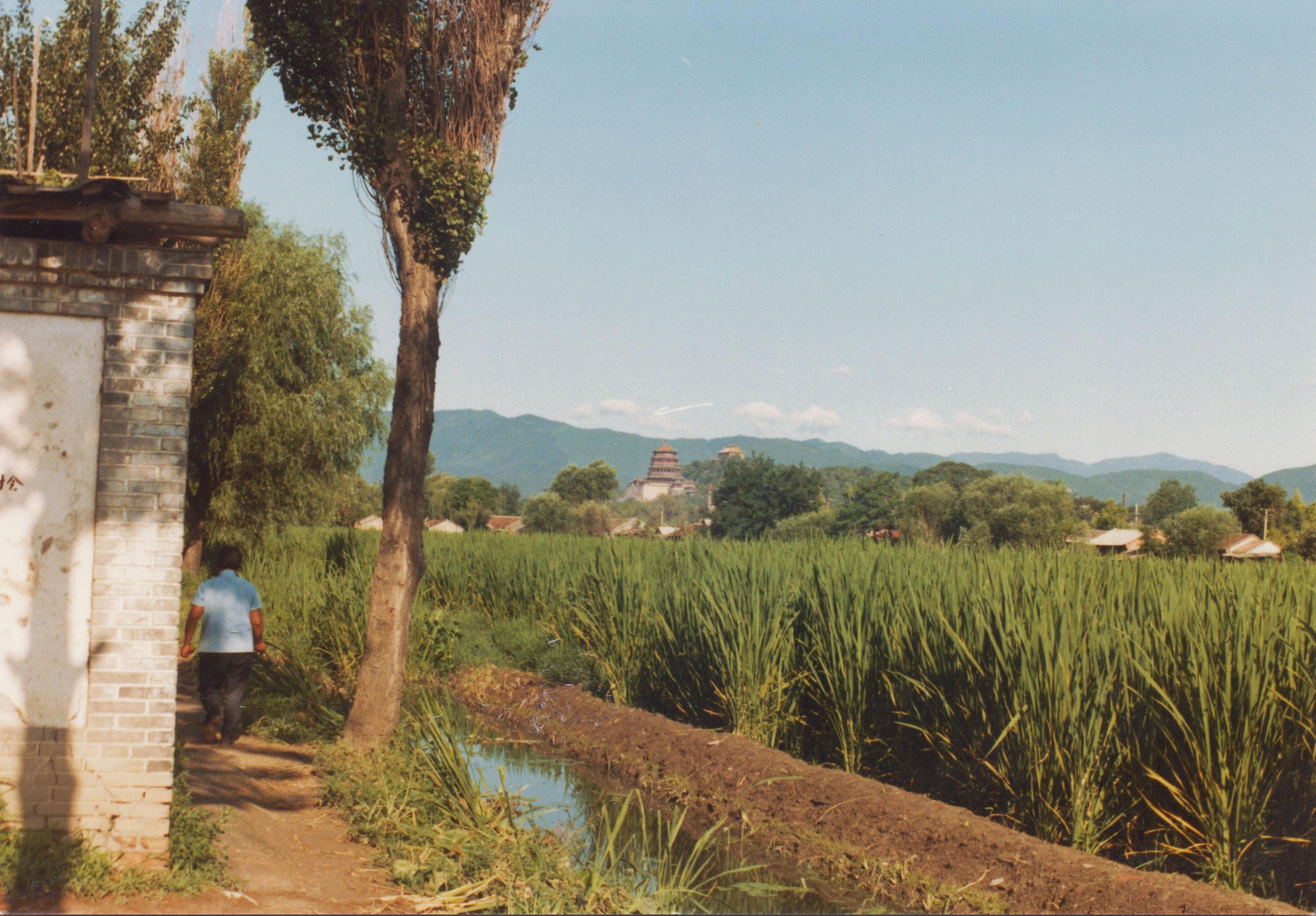 回到过去,80年代彩色老照片,再来看一眼曾经熟悉的80后