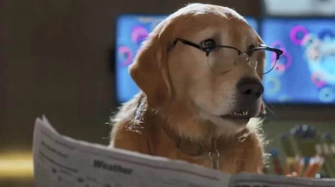 时隔10年经典回归!《猫狗大战3:爪爪集结》首曝预告