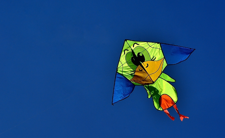 春光明媚,这天上的风筝可真是太美了!