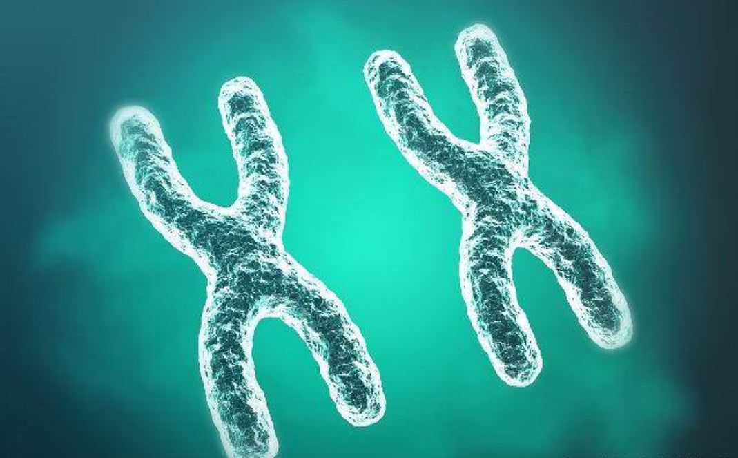 北方人为何普遍比南方人高?