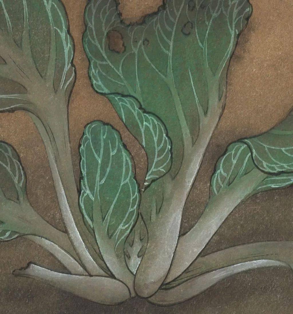 召南·草虫|南宋 许迪:野蔬草虫图
