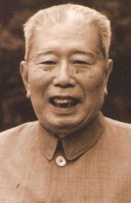 1982年开国上将杨勇查出肝癌,临终前一月与妻子商量:让我安乐死