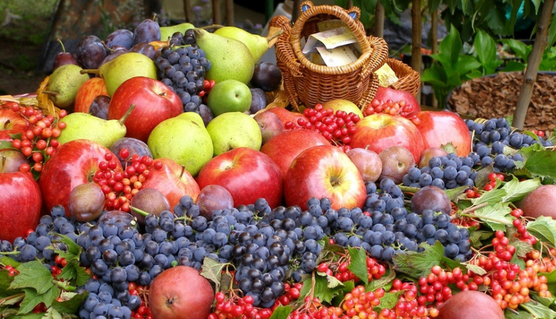 抖音小店生鲜水果类目怎么报白?桃子,李子,葡萄报白提供什么?