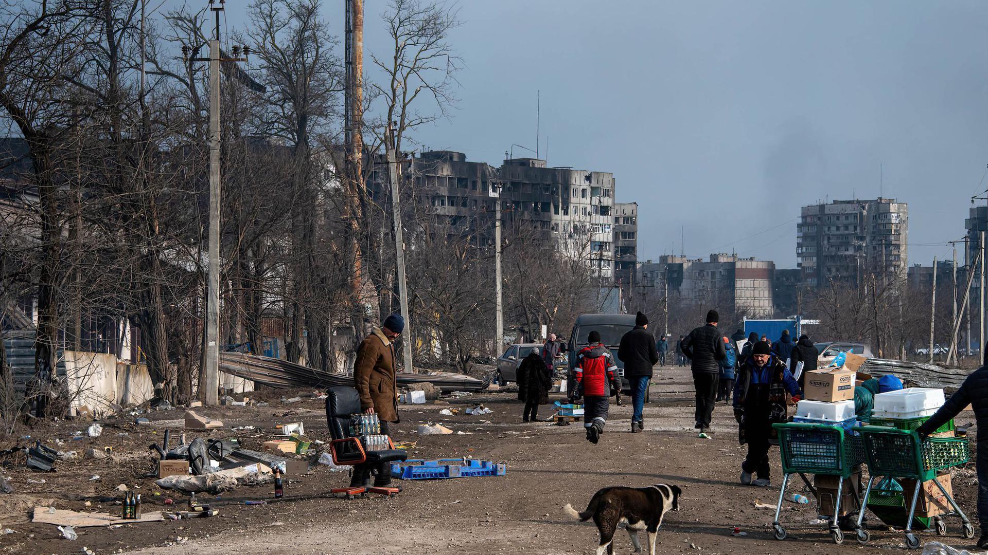乌克兰40万居民被困避难所吃狗求生,一父亲:我当儿子的人体盾牌