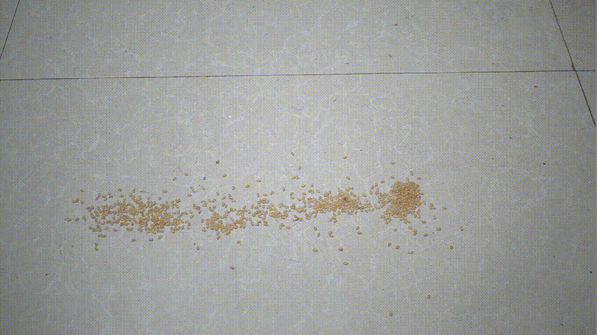 干,湿,油性垃圾都不怕——必胜高速洗地机测评