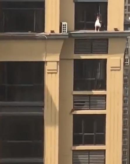 湖南一女孩爬出20多楼窗外迎风静坐,物业:家长称孩子喜欢在那玩