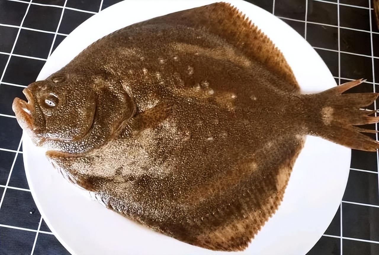 长沙渔民竟意外捕到十斤大多宝鱼,卖了两万块,说春节前能卖5万