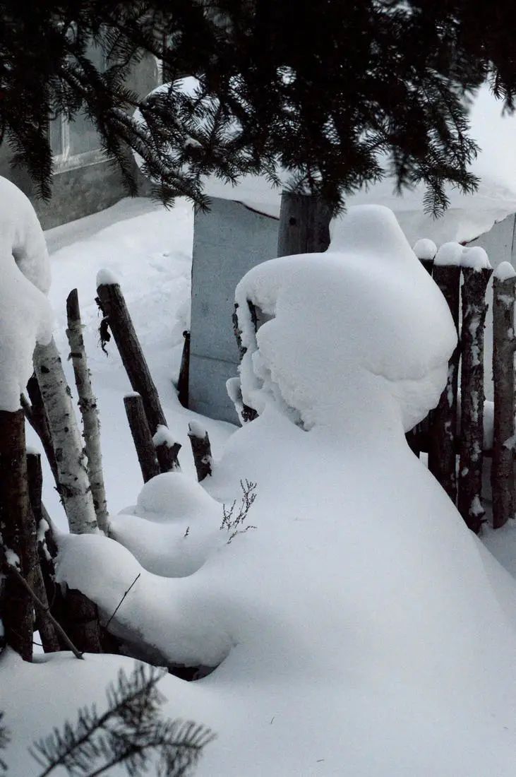 寒冬腊月雪满天,东北雾凇雪景分外绕