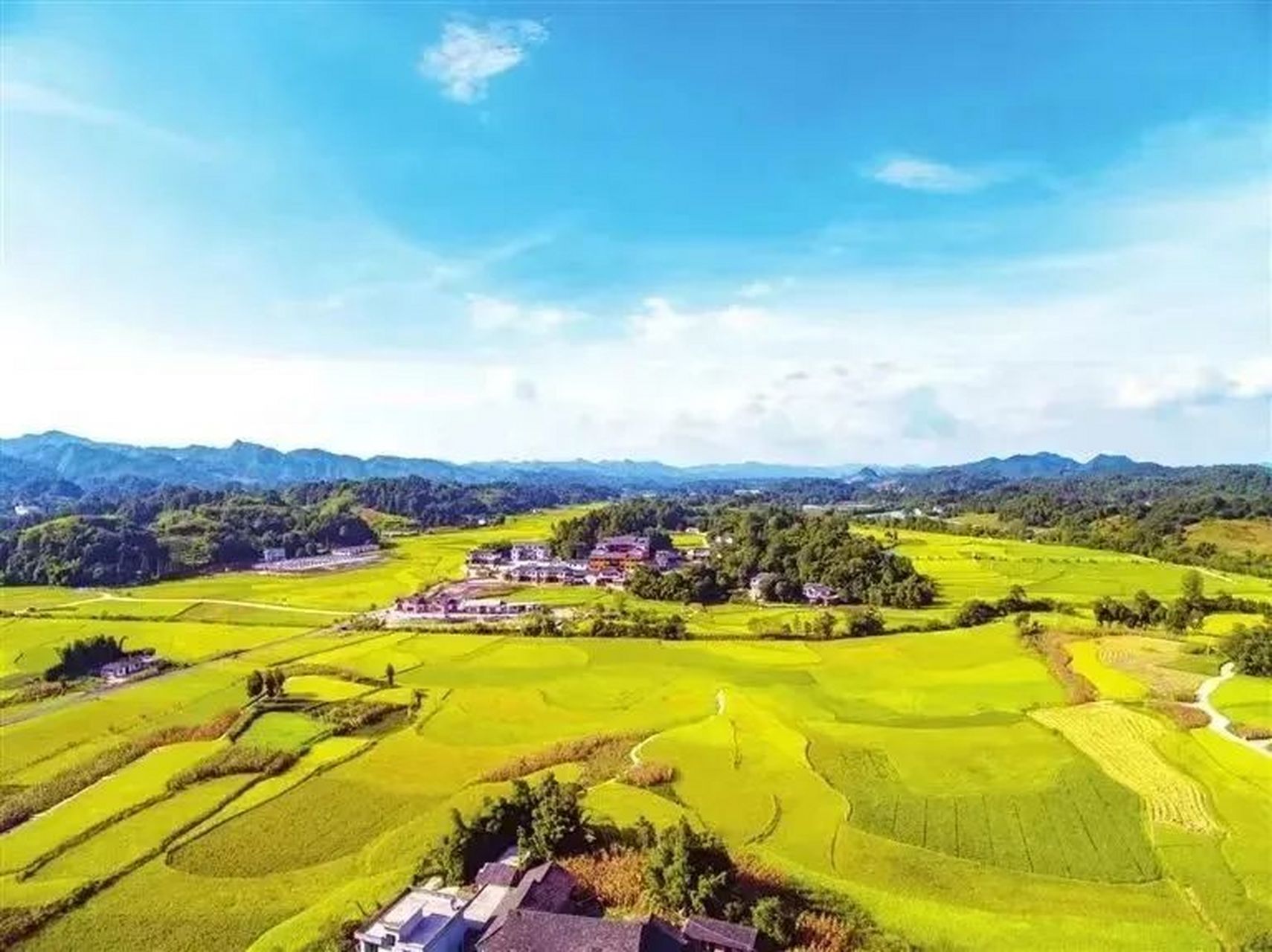 茅坝本地生活