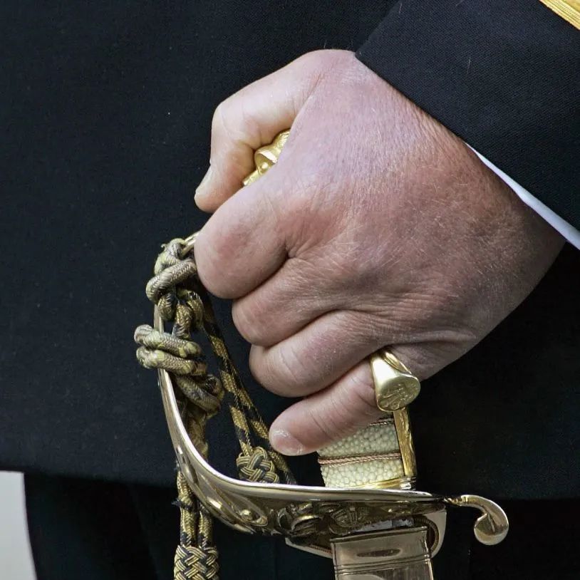 rrtrends王室特工莎士比亚都爱绅士的戒指