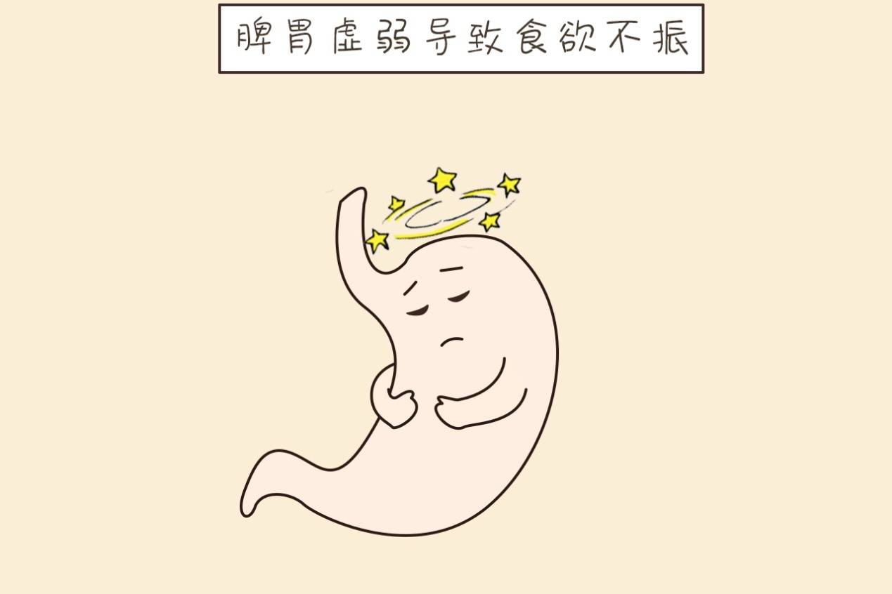 神疲乏力,食欲不振,应该养脾胃,可在夏天多吃这一物