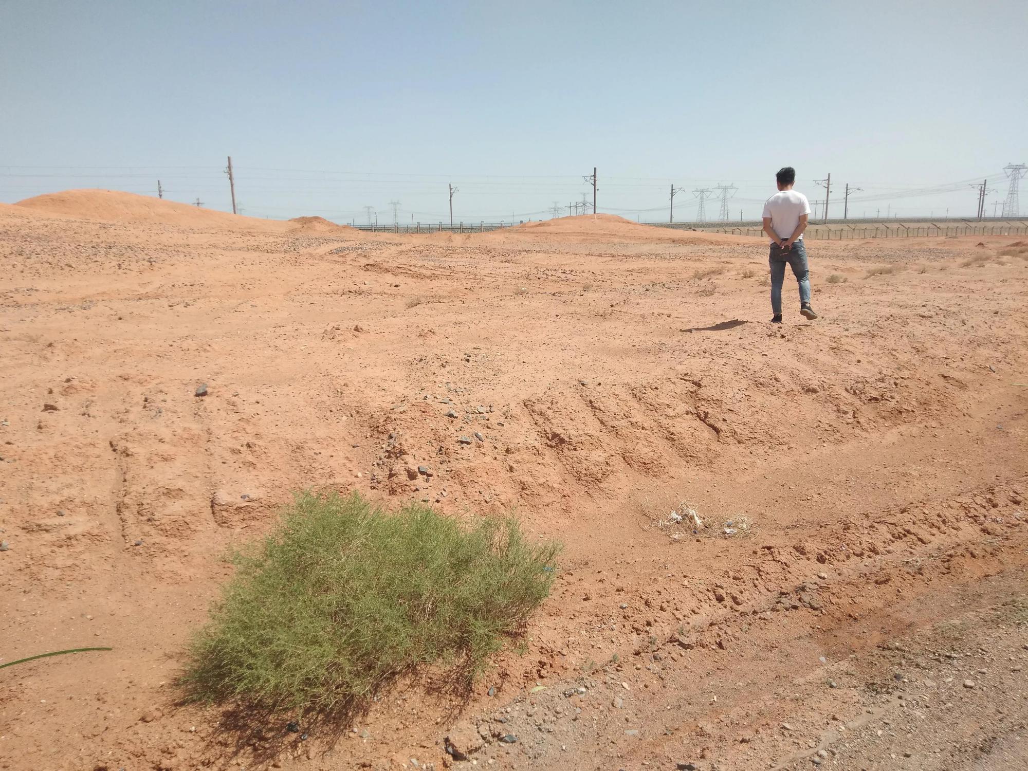 种5亩地的农民,1年旅游几次才合适?网友说得真好