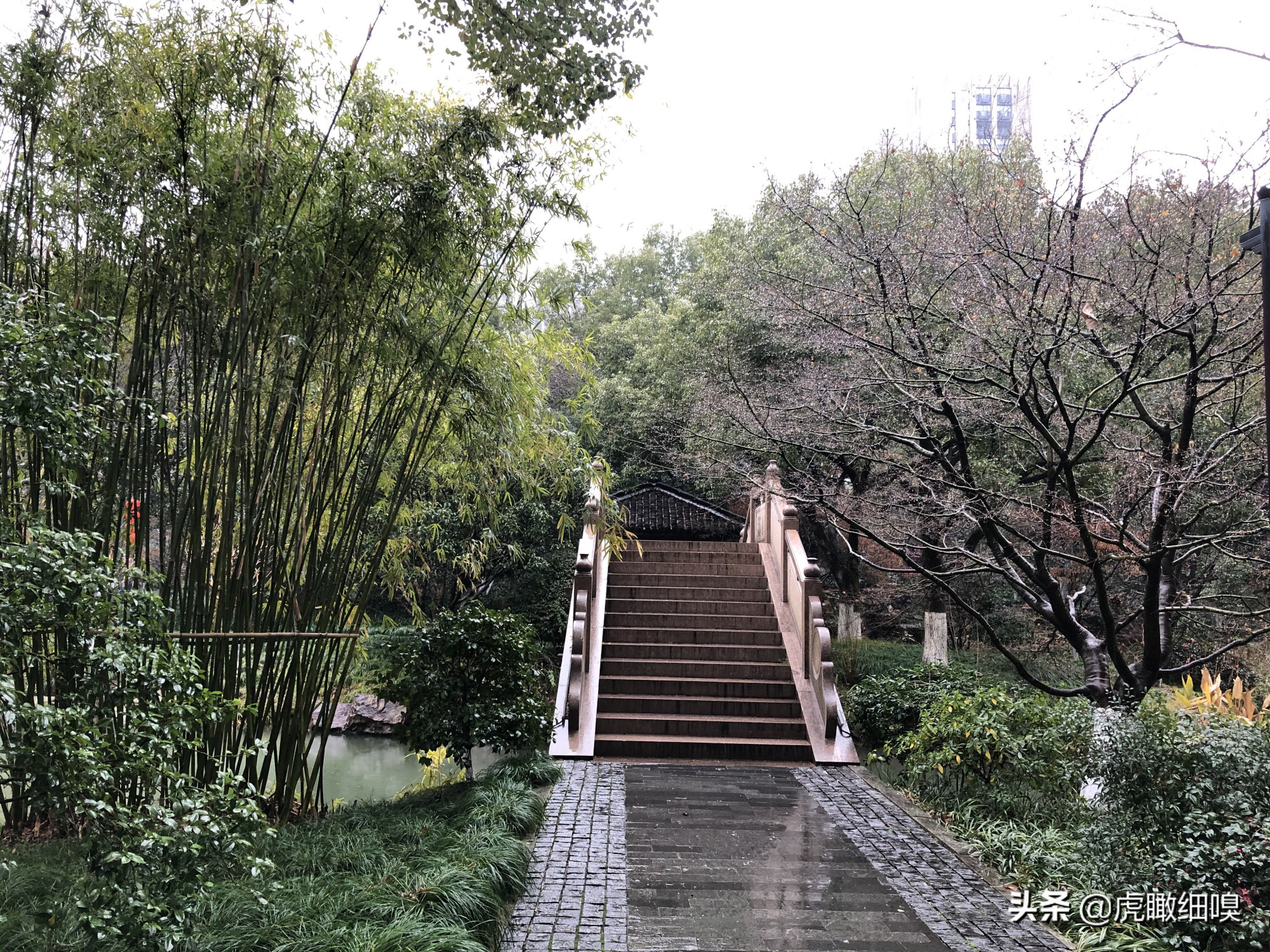 临平水景公园:好似散落于闹市中的一串珍珠的公园