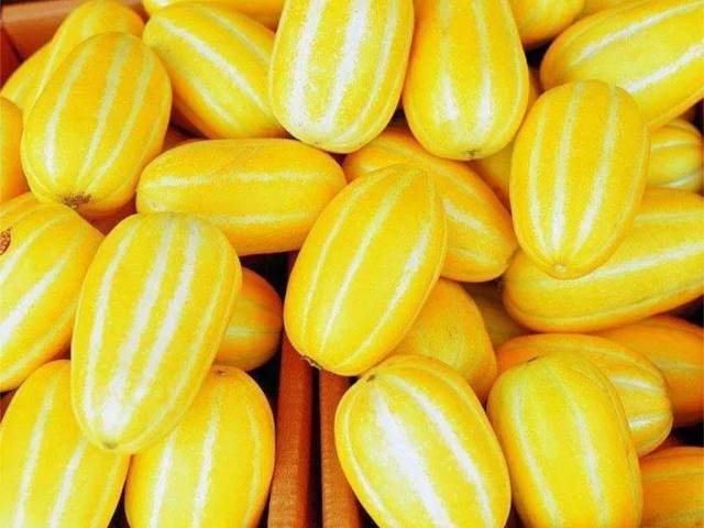 香瓜甜不甜,看这5点就知道了,一挑一个准,什么品种香瓜都适用