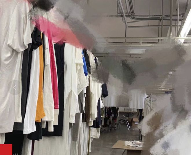 高校大学生裸辞大公司:活得像老鼠