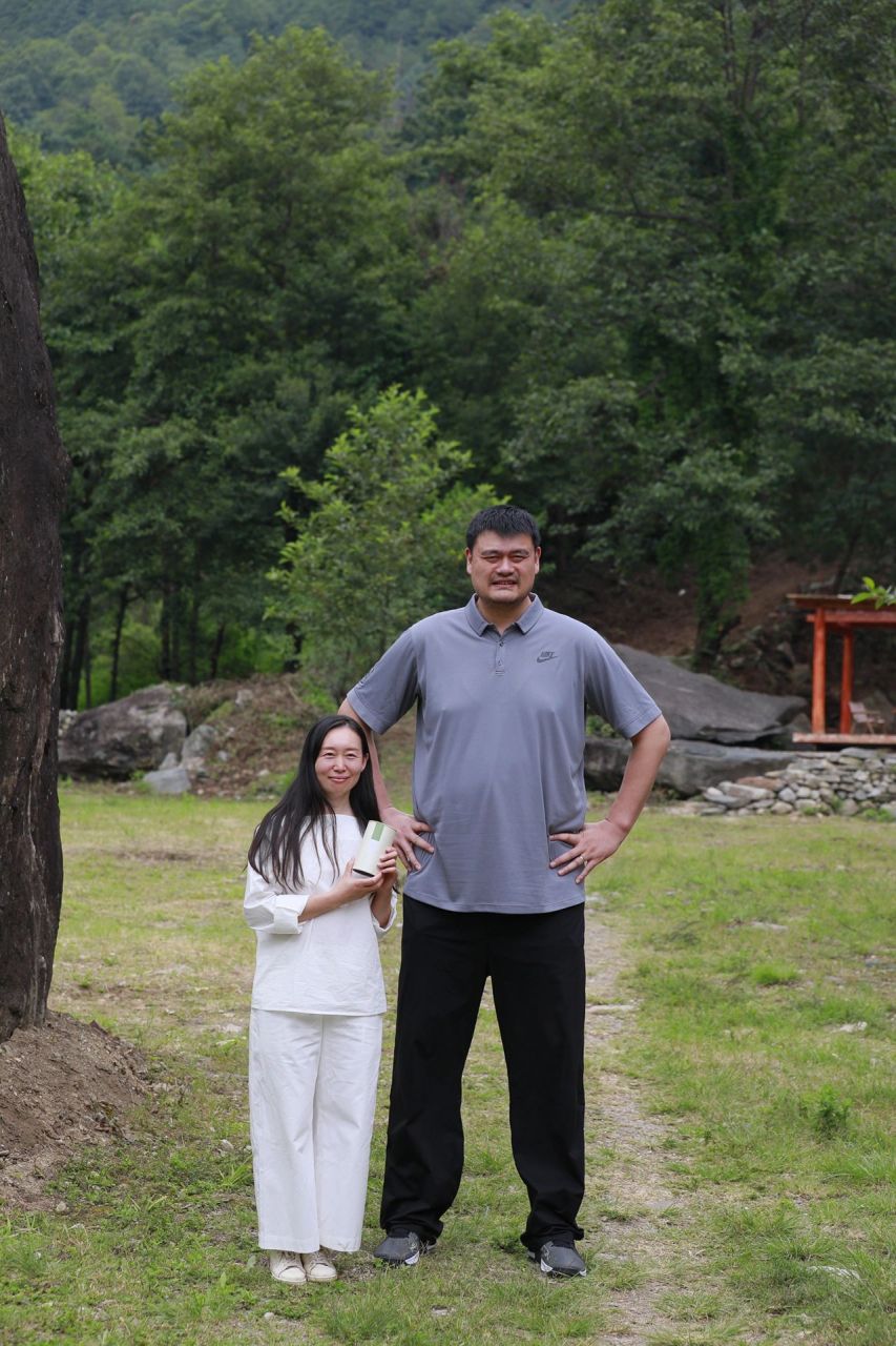 我和姚明的身高差 今天姚明先生携一家人来我们茶体验采茶制茶,有幸合