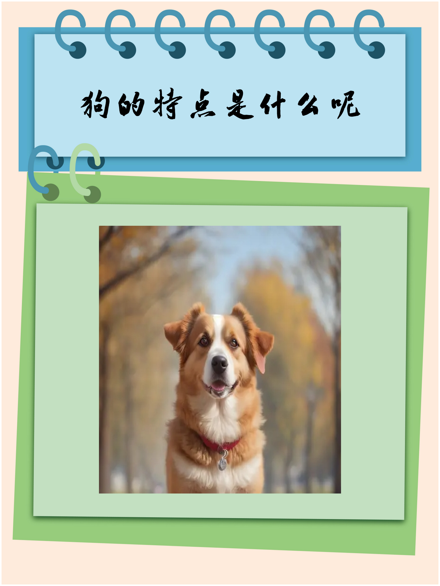 狗的特点是什么  1,忠诚:狗是一种非常忠诚的动物,通常会对主人表现出