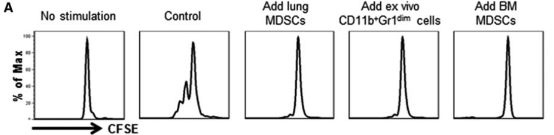 cfse标记法怎么做?