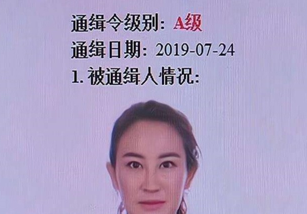 首富儿媳寇静瑶19岁嫁入豪门生下4子31岁沦为a级通缉犯