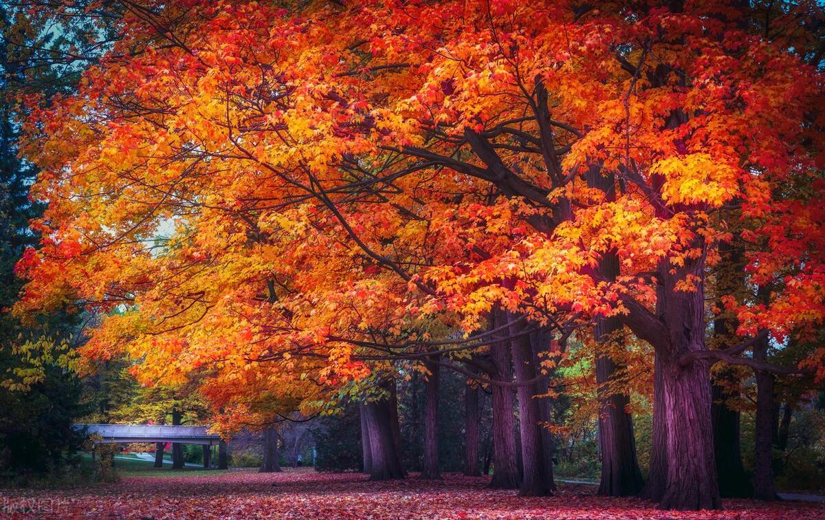 穷的时候,我们应该保持一颗谦逊的心态