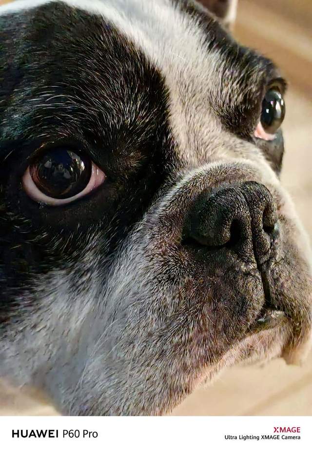 不仅演唱会卷上天,现场拍也内卷!追星神器华为p60 pro脱颖而出