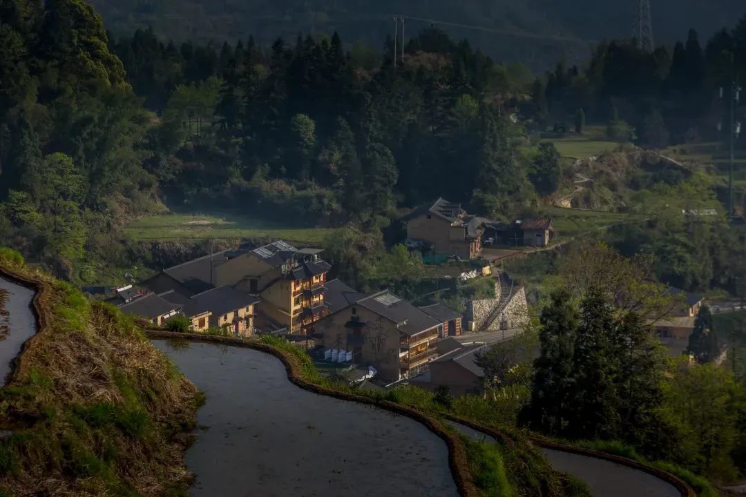 麗水雲和·稻草草遇見積木木,含雲和梯田景區門票 玩木兒童樂園