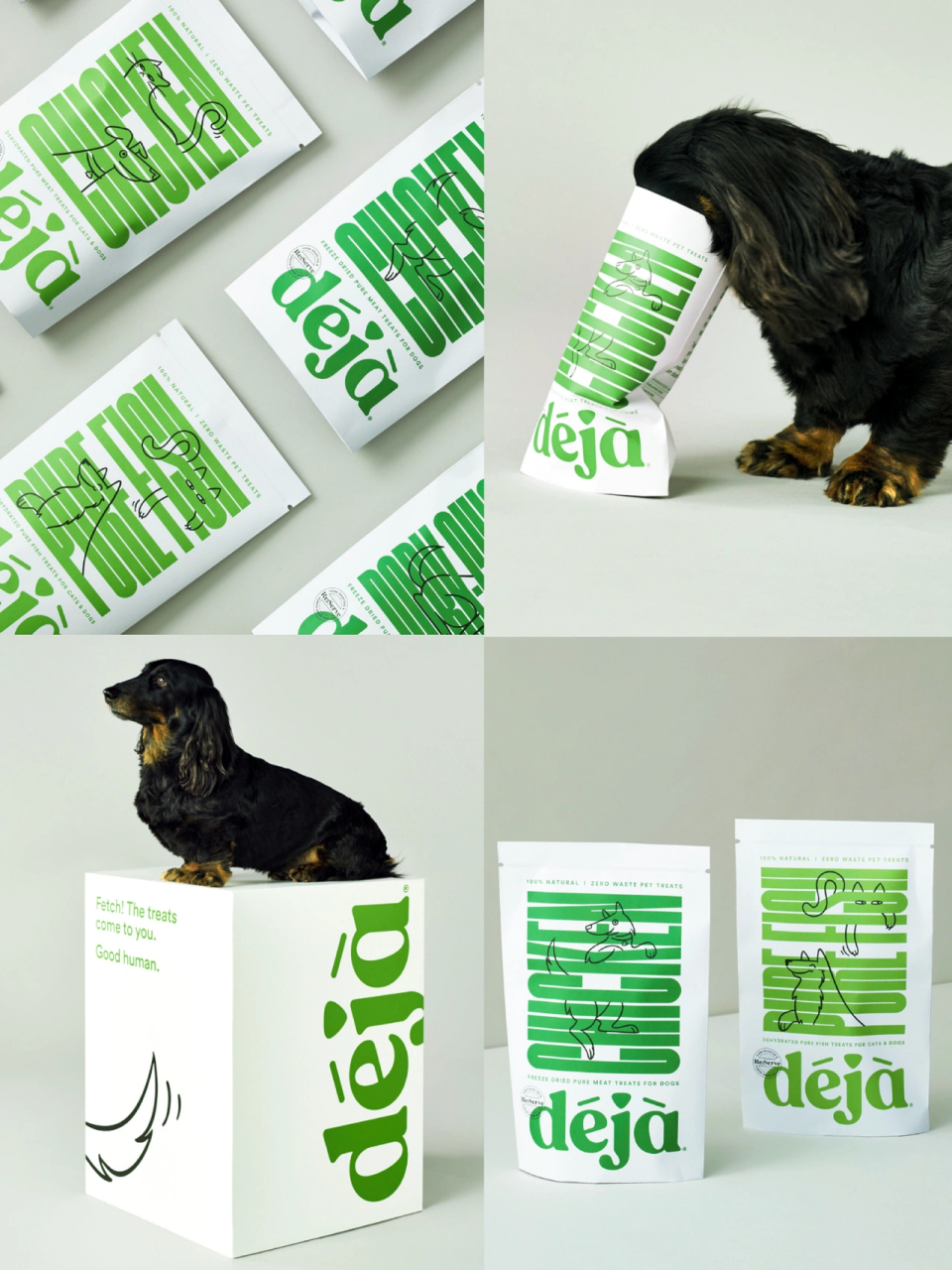 deja环保宠物品牌包装设计分享 充满个性的品牌 趣味的宠物图形 亮眼