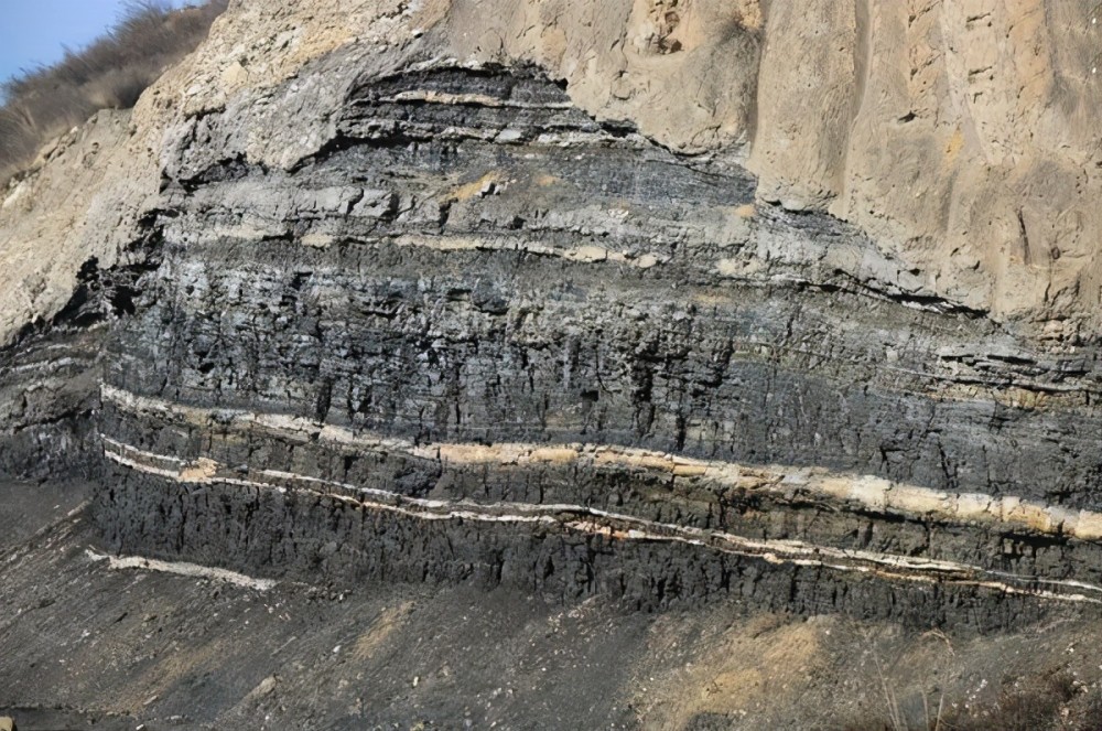 地下厚厚的煤层是怎么形成的?古人是如何开发和利用煤炭的?