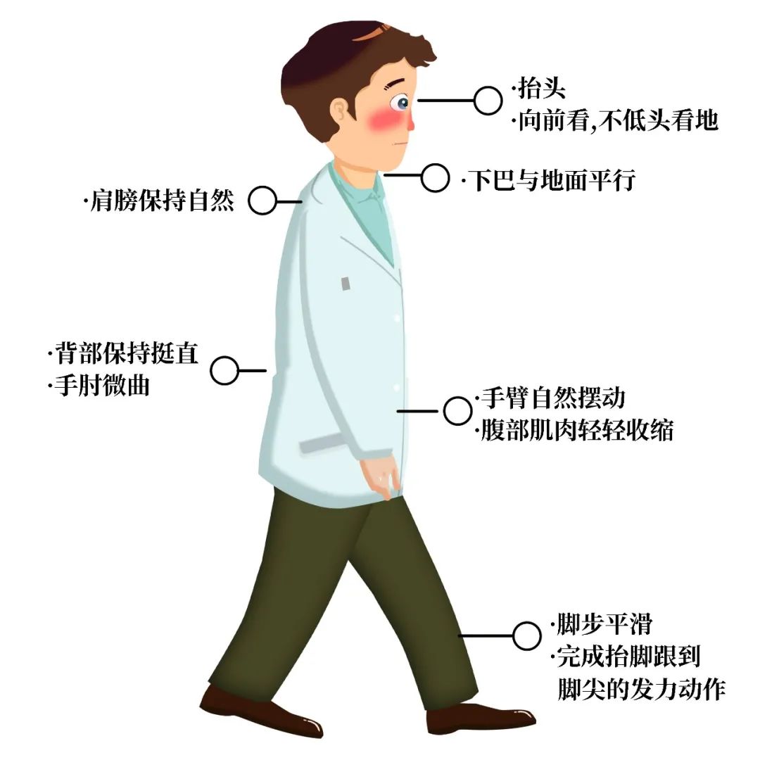 张伯礼 走路是最好的运动