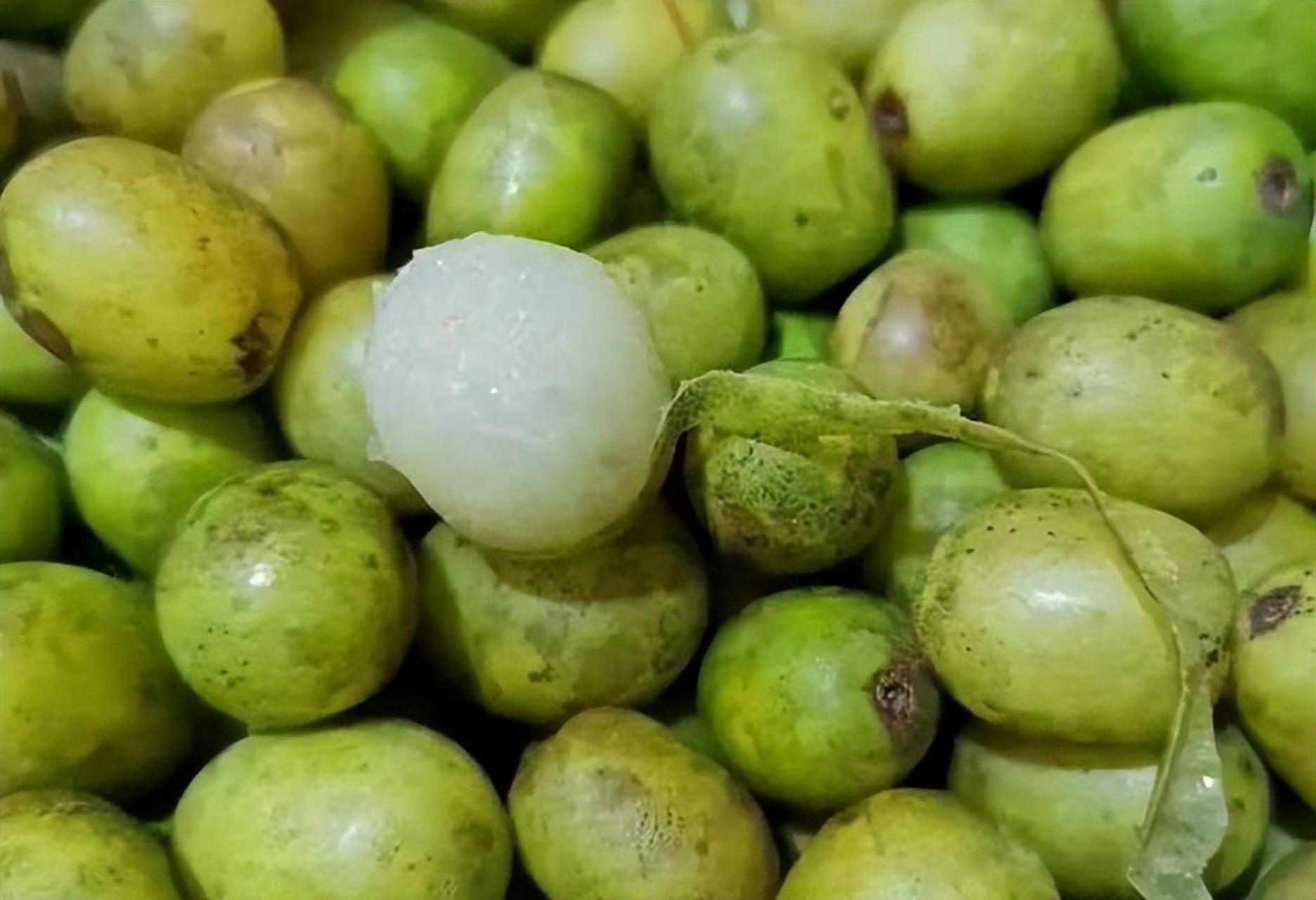 南方人叫它酸枣,皮厚核大肉少,以前无人捡,如今成了稀罕品 在南方有一