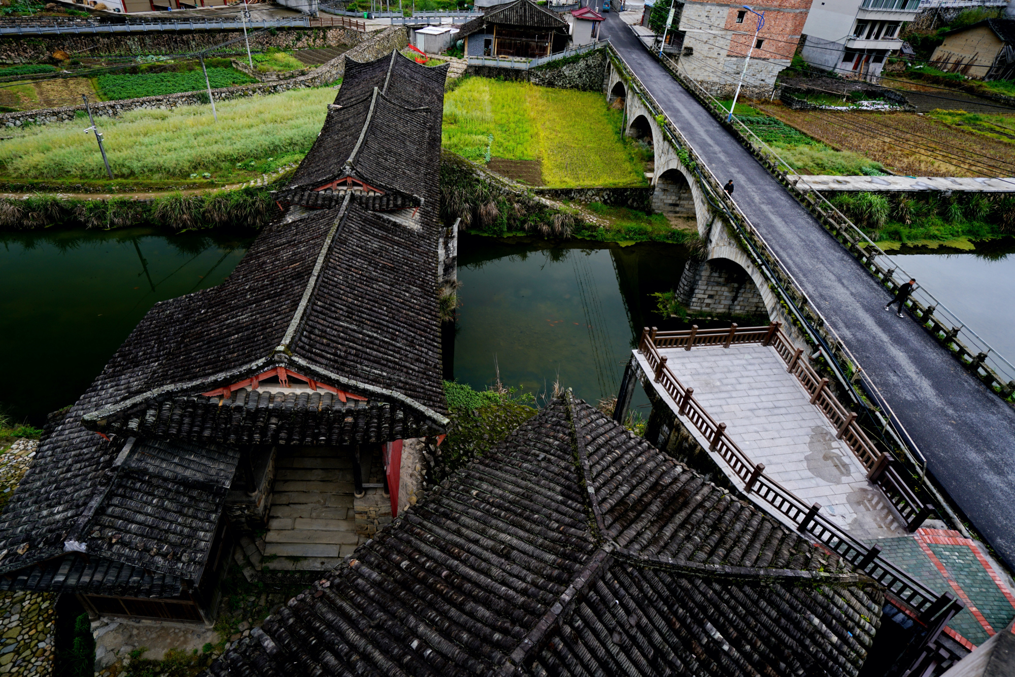 夏日避暑好去处,泰顺廊桥小镇泗溪一日游,赏廊桥爬古道逛古村