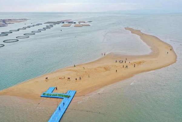 福建漳州海面退潮后出现"鱼骨沙洲",游客乘船前往,惊叹美景
