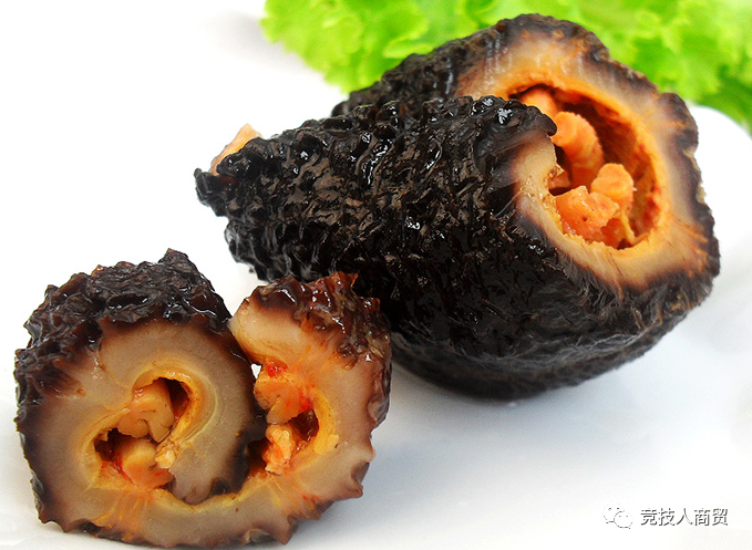 常见的海参介绍(introduction to common sea cucumber)