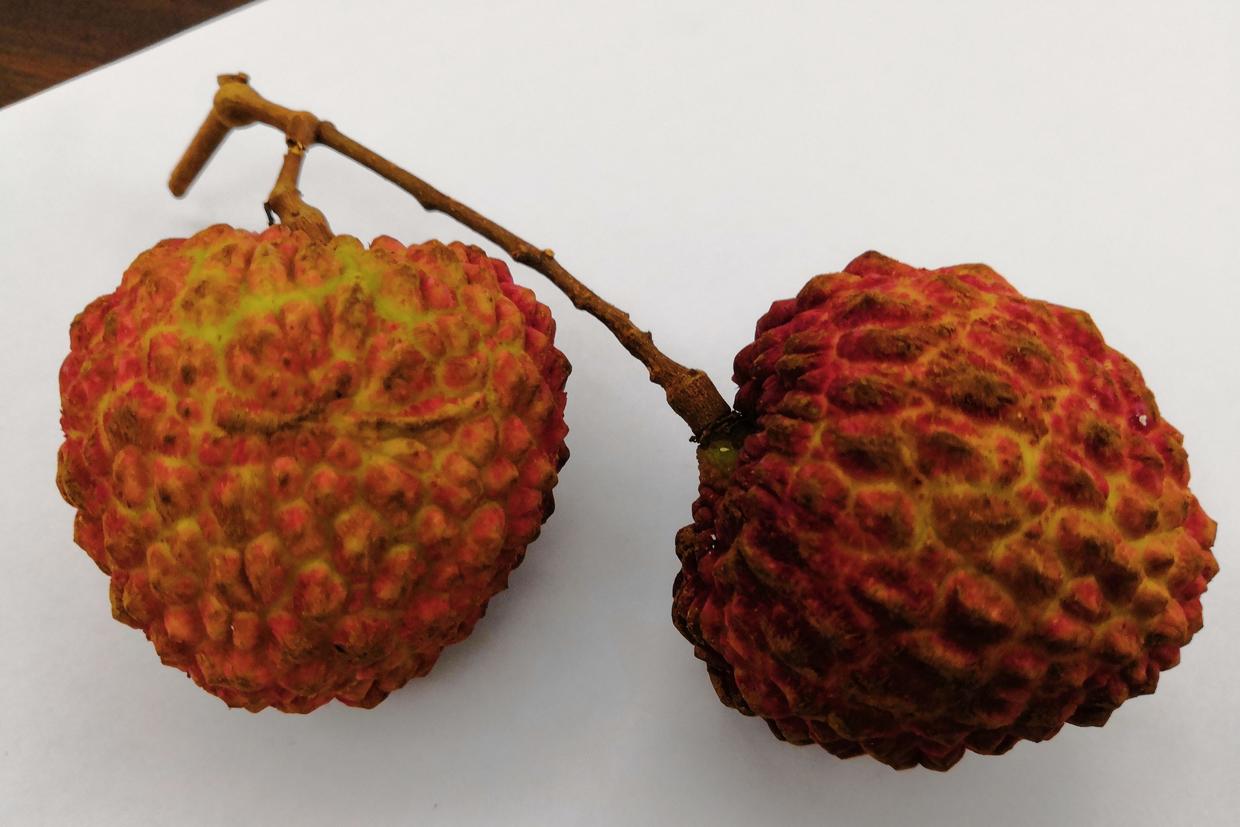 缤纷六月 | 荔枝王 妃子笑 更爱哪一个