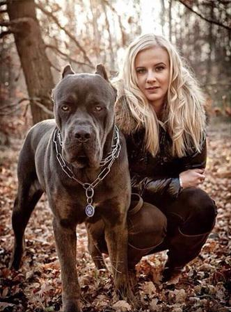 护卫之王——"卡斯罗犬",为何如此火爆?