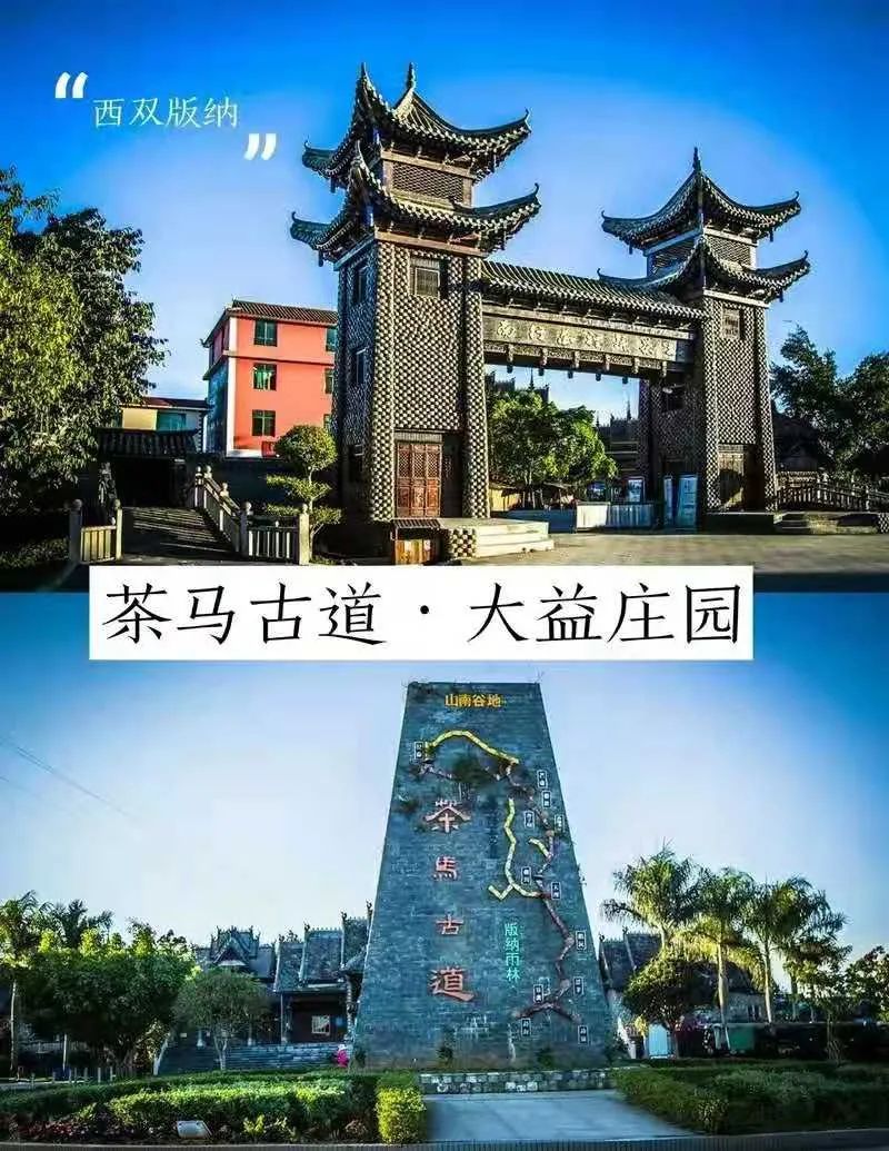 "五一"节好玩的文旅活动,西双版纳为您准备好啦!