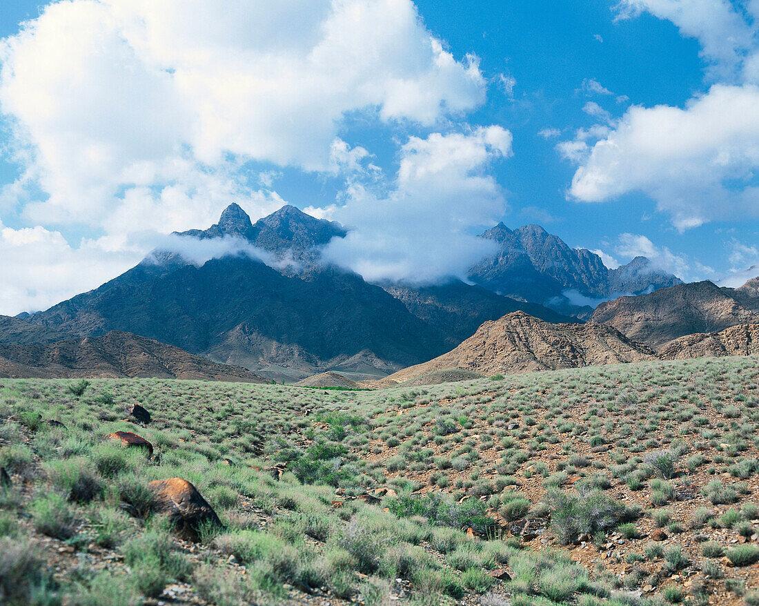 探秘:扎格罗斯山脉中的动物生态,美丽与野性的奇妙之旅!