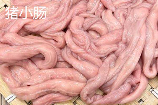 猪大肠和猪小肠有什么区别