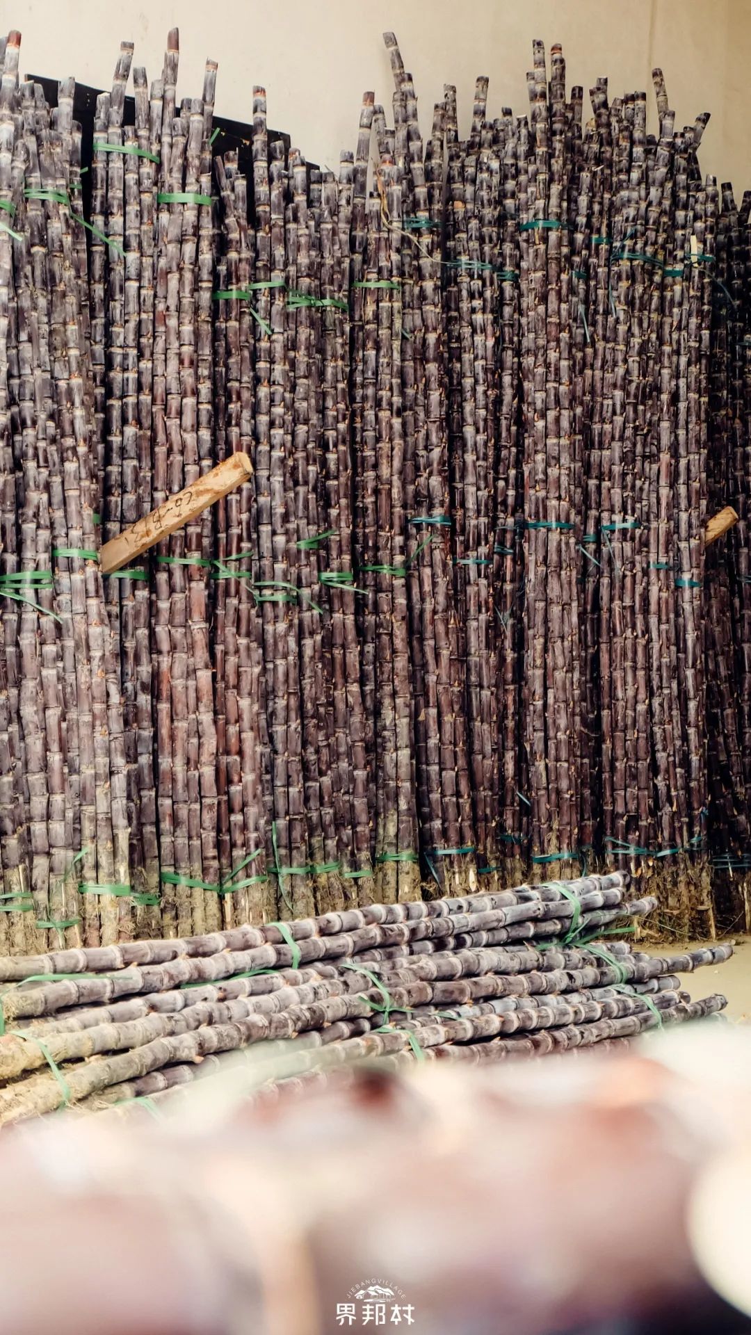 甘蔗算不算水果?广西人可不管,反正冬天少不了有它!