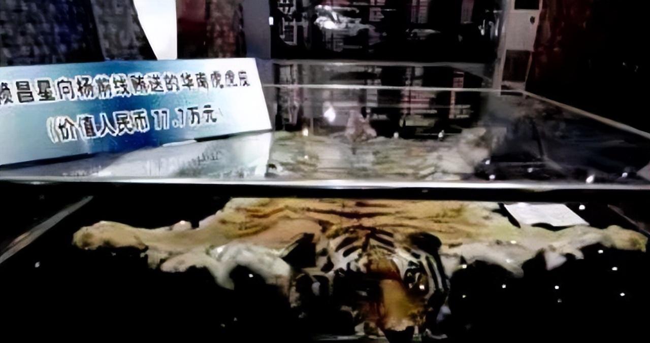 纪实:"海关第一贪"杨前线,贪财好色包养情妇被判死刑自食恶果