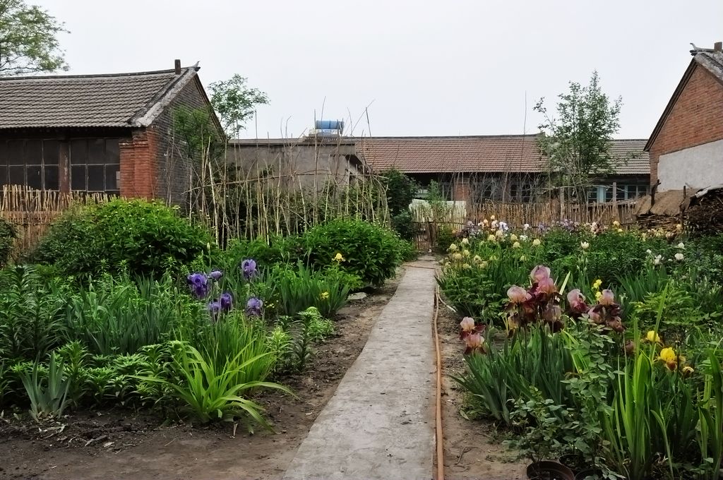 农村田园生活,才是人生最后的归宿!