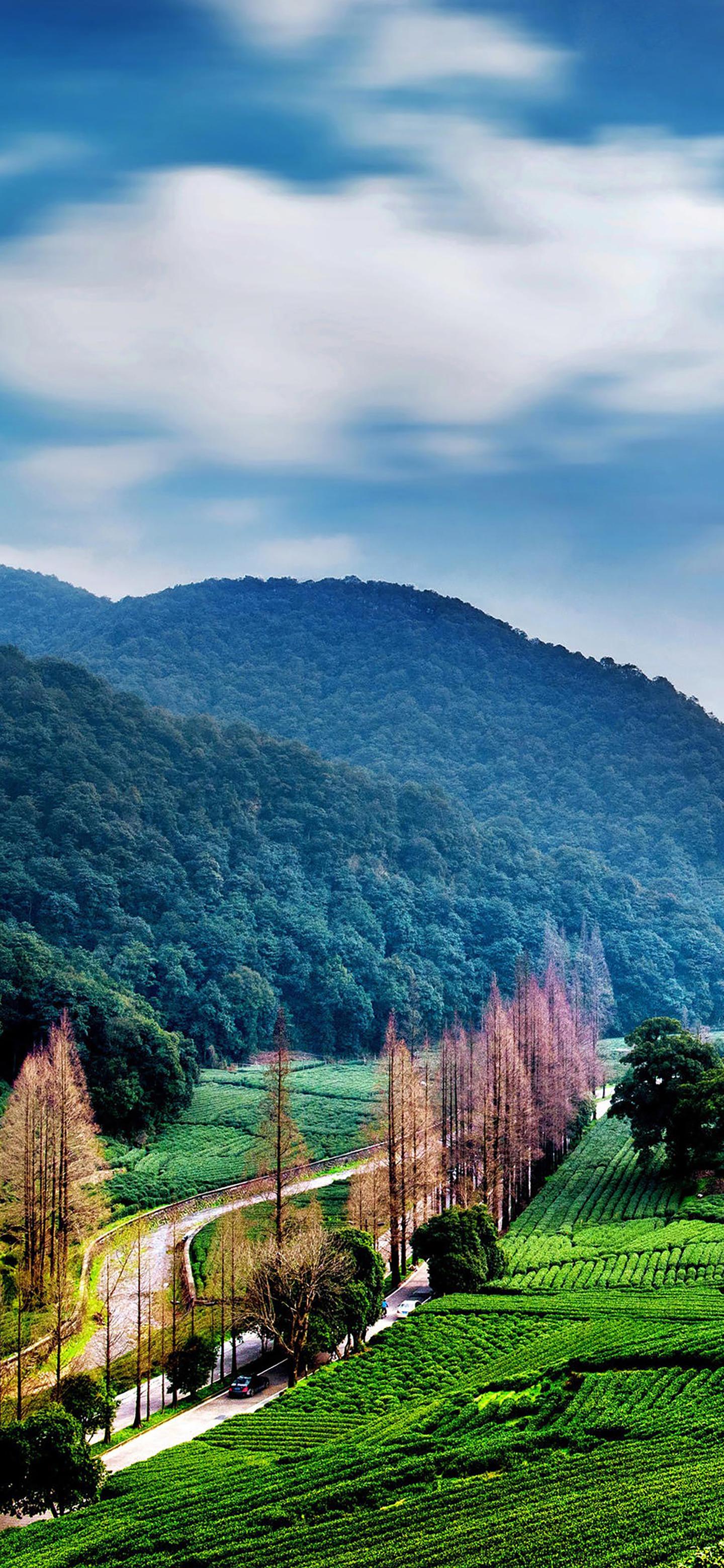 1440_3120竖版 竖屏