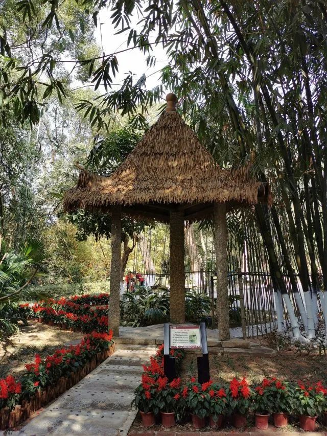 园林云课堂  | 中华名园·唐家共乐园